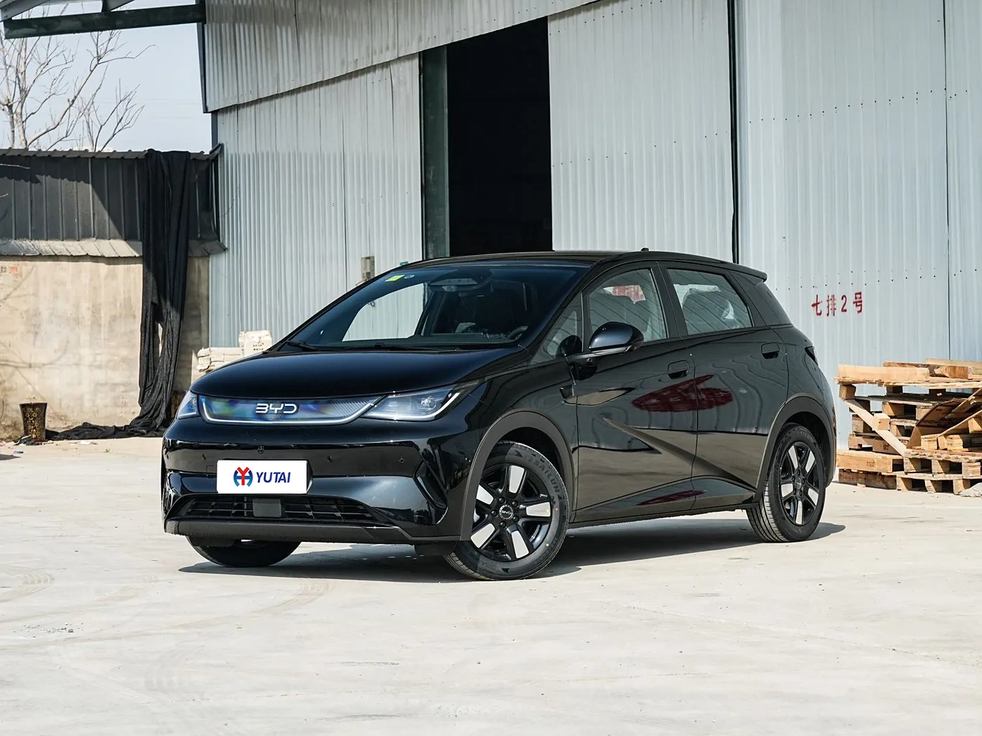 2025 BYD Dolphin exterior